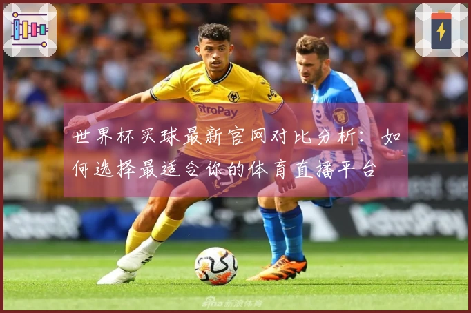世界杯买球最新官网对比分析：如何选择最适合你的体育直播平台