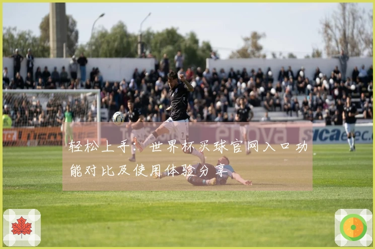 轻松上手：世界杯买球官网入口功能对比及使用体验分享