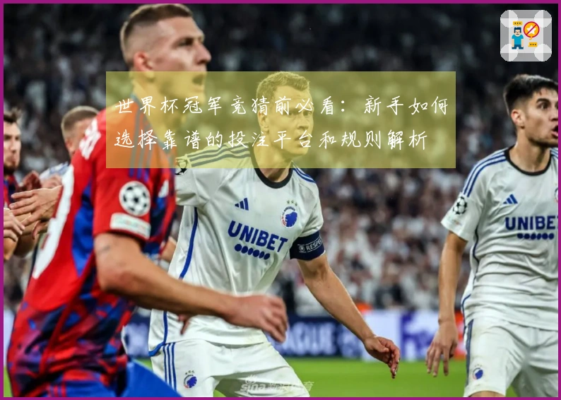 世界杯冠军竞猜前必看：新手如何选择靠谱的投注平台和规则解析