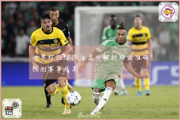 世界杯让球投注盘口解析助你准确预测赛事结果