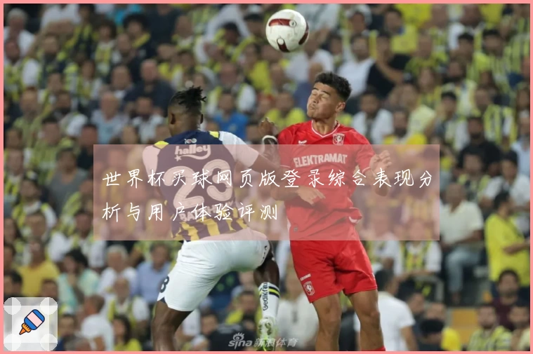 世界杯买球网页版登录综合表现分析与用户体验评测
