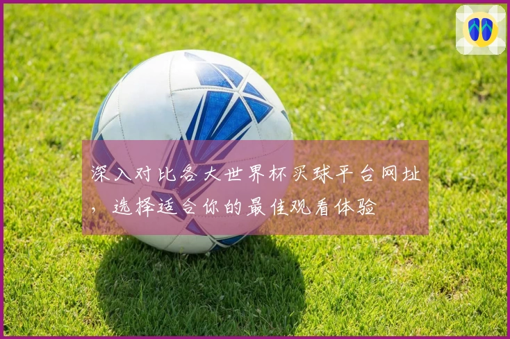 深入对比各大世界杯买球平台网址，选择适合你的最佳观看体验