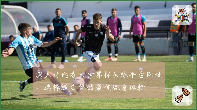 深入对比各大世界杯买球平台网址，选择适合你的最佳观看体验