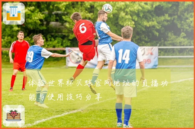 体验世界杯买球官网地址的直播功能与使用技巧分享