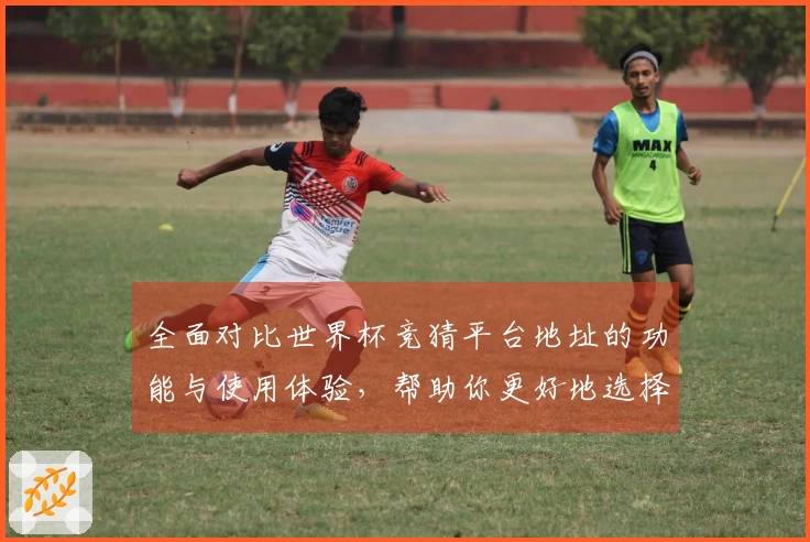 全面对比世界杯竞猜平台地址的功能与使用体验，帮助你更好地选择和利用平台