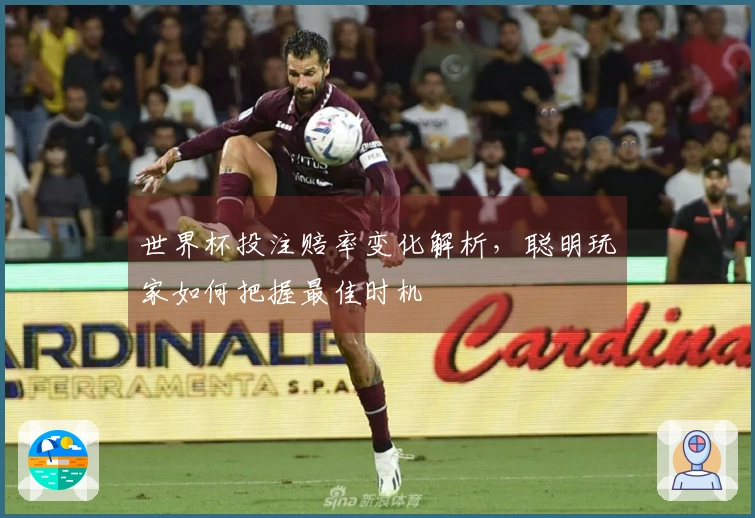 世界杯投注赔率变化解析，聪明玩家如何把握最佳时机