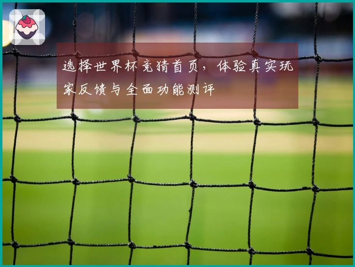 选择世界杯竞猜首页，体验真实玩家反馈与全面功能测评