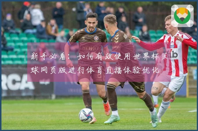 新手必看：如何有效使用世界杯买球网页版进行体育直播体验优化
