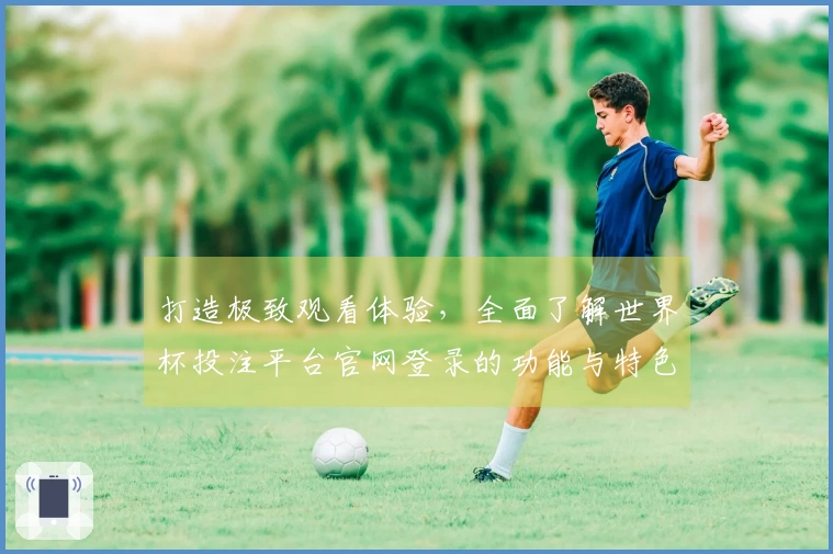 打造极致观看体验，全面了解世界杯投注平台官网登录的功能与特色